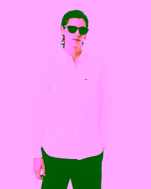 Camisa Oxford de corte regular LACOSTE