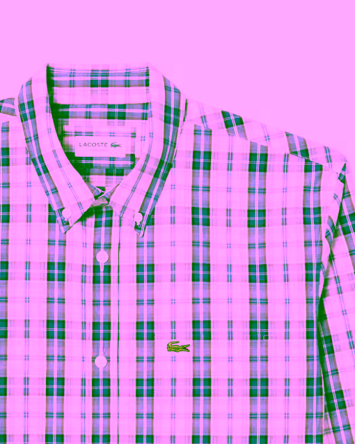 Camisa de popelín con cuadros escoceses blanco azul LACOSTE