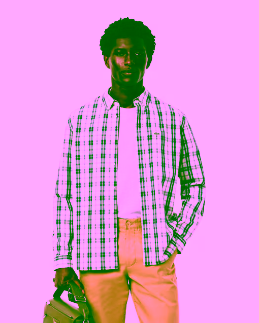 Camisa de popelín con cuadros escoceses blanco verde LACOSTE