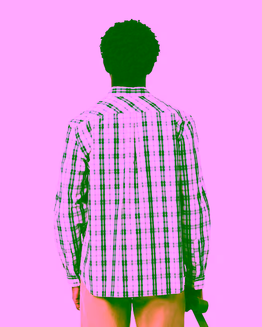 Camisa de popelín con cuadros escoceses blanco verde LACOSTE