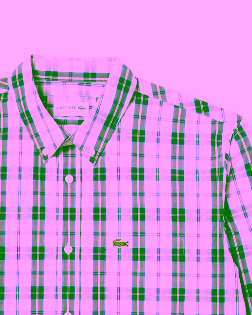 Camisa de popelín con cuadros escoceses blanco verde LACOSTE