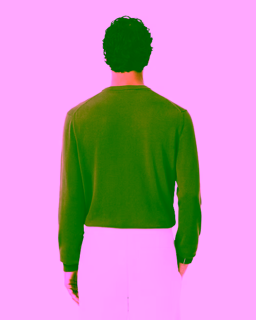 Jersey de cuello redondo de algodón monocolor verde LACOSTE