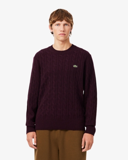 Jersey de cuello redondo de lana cardada con motivo de ochos Lacoste hombre Marrón