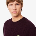 Jersey de cuello redondo de lana cardada con motivo de ochos Lacoste hombre Marrón