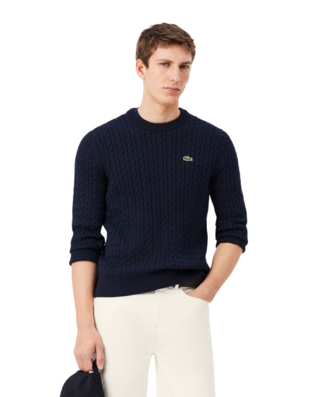 Jersey de algodón de punto de ochos Lacoste hombre Azul marino/verde